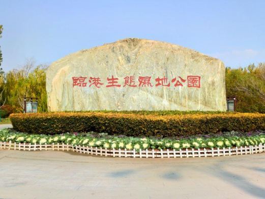天津临港经济区生态湿地公园