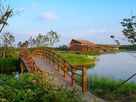 上海东滩湿地公园