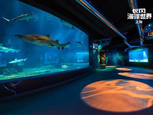 上海长风海洋世界