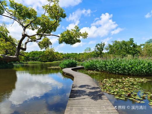 上海长兴岛湿地公园