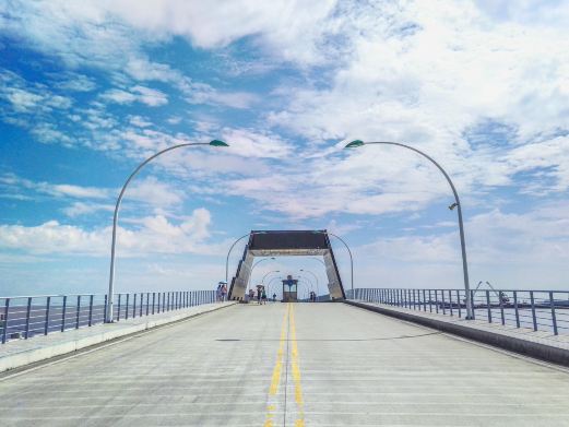 上海芦潮港