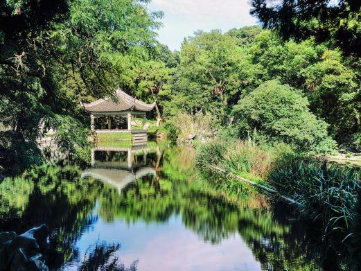 同济大学附属上海市肺科医院-叶家花园