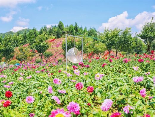 石柱云中花都