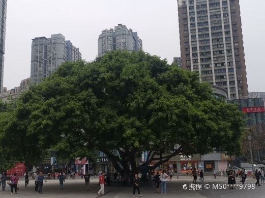 重庆杨家坪步行商业区