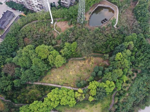 重庆永川植物园