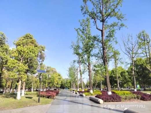 重庆智慧湾区生态公园