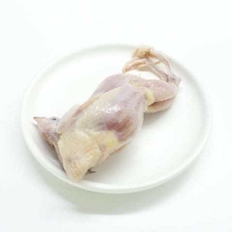 鹌鹑