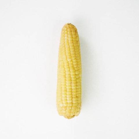 糯玉米