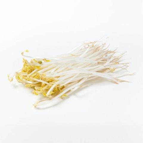 豆芽(绿豆芽)