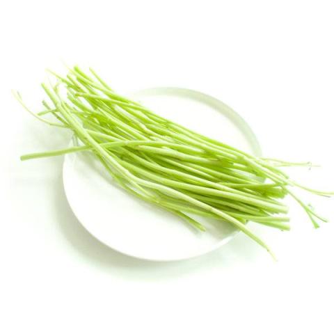 蒌蒿
