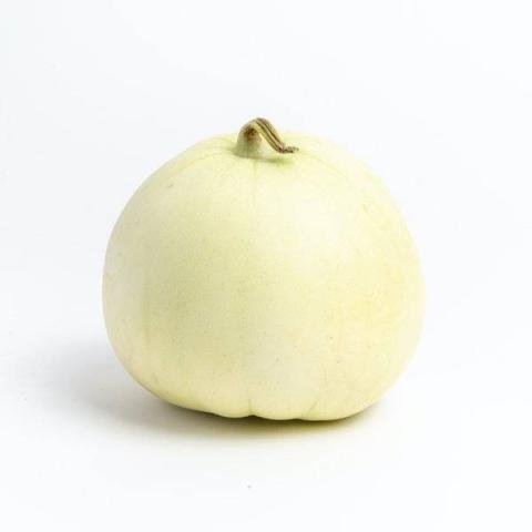 白兰瓜