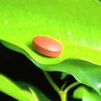 叶酸的作用