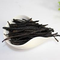 苦丁茶的功效与作用