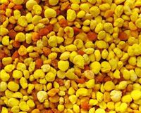 花粉的功效与作用及食用方法
