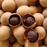 桂圆的功效与作用
