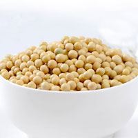 黄豆的功效与作用