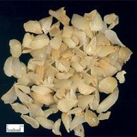 百合的功效与作用及食用方法