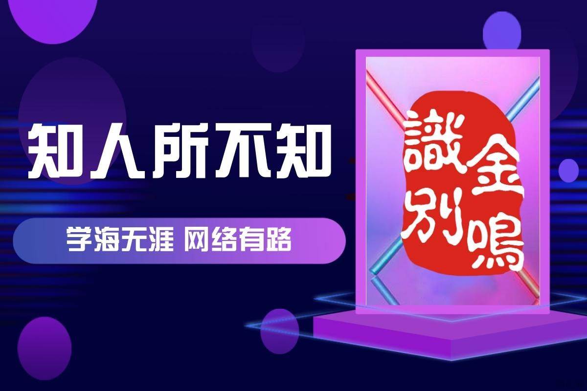 word插入图片为何无法显示?