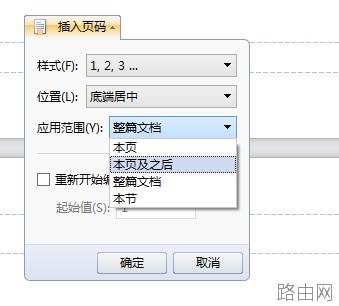WORD文档怎么从第二节页脚开始插入页码