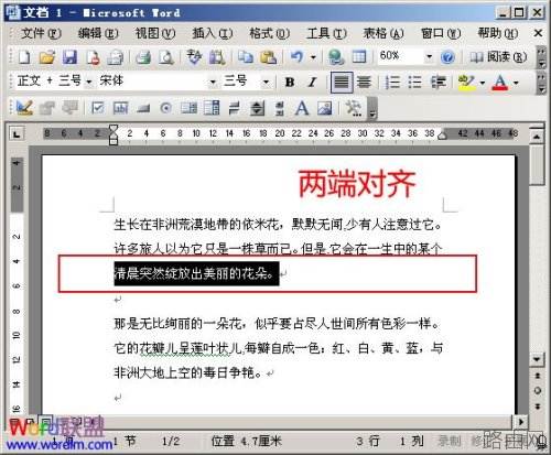 Word文档两端对齐.分散对齐如何设置