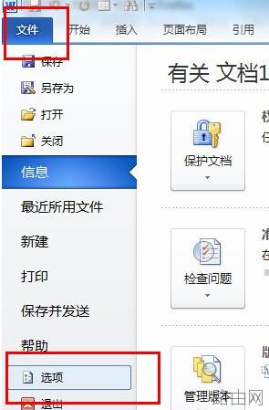 Word2010如何显示开发工具选项卡