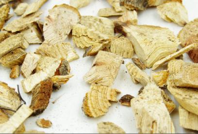 昆明山海棠