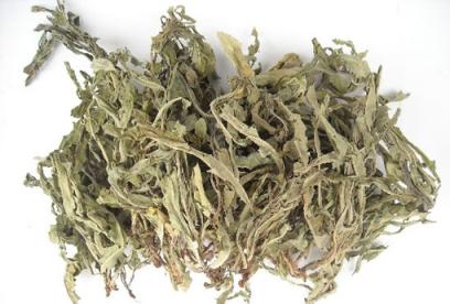败酱草